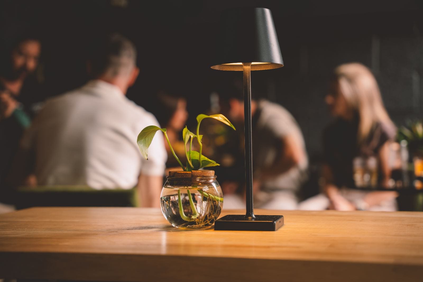 A table lamp and plant in focus, guests gathered behind