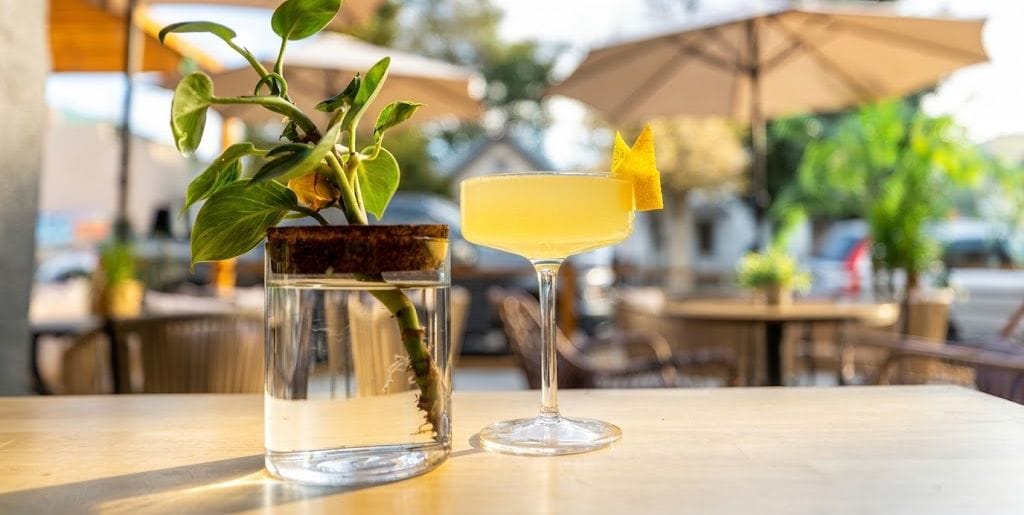 A coupe cocktail with a lemon twist on the patio table